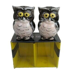 Owl Salt & Pepper Shakers Set Ceramic Hand Painted Kitchen Birds New